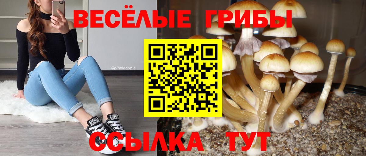 Медногорск  Галлюциногенные грибы MAGIC MUSHROOMS  Псилоцибиновые грибы MAGIC MUSHROOMS  Вход с VPN 