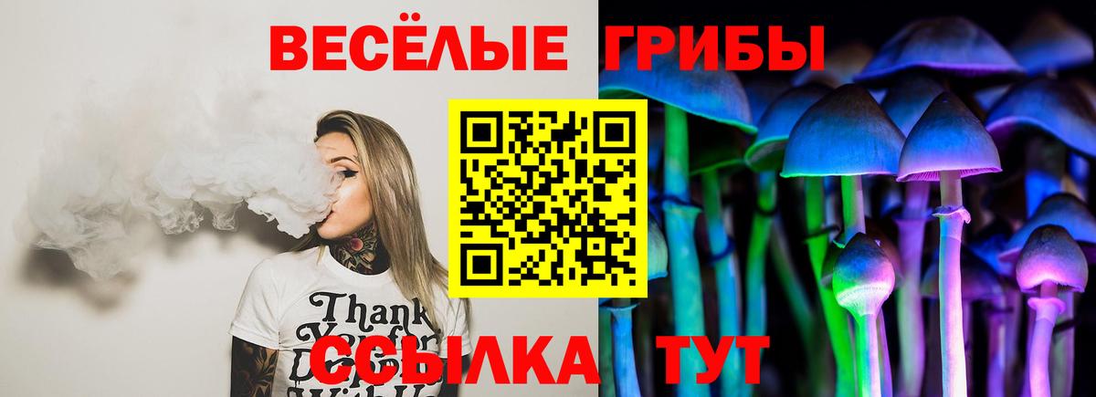 Псилоцибиновые грибы мухоморы Медногорск